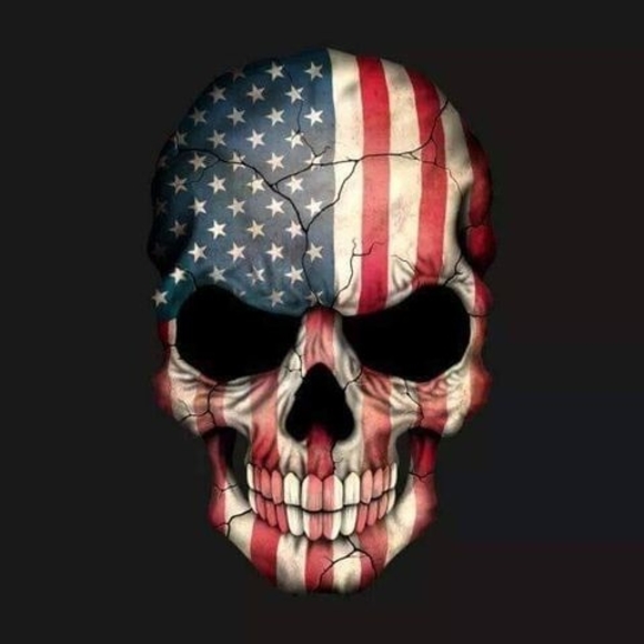 Meet your Posher, Austen - Picture 1 of 1